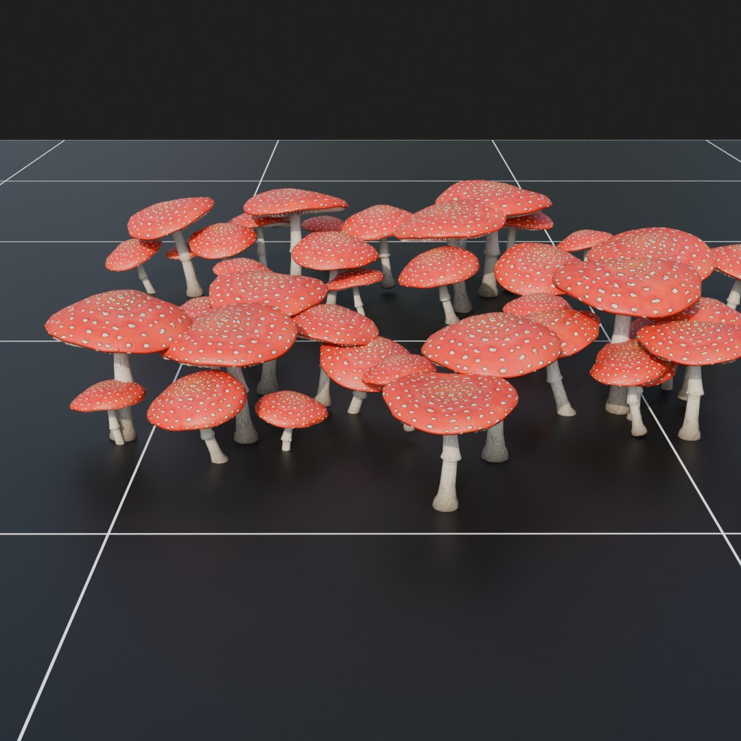 Forest Floor Mushroom Collection 2